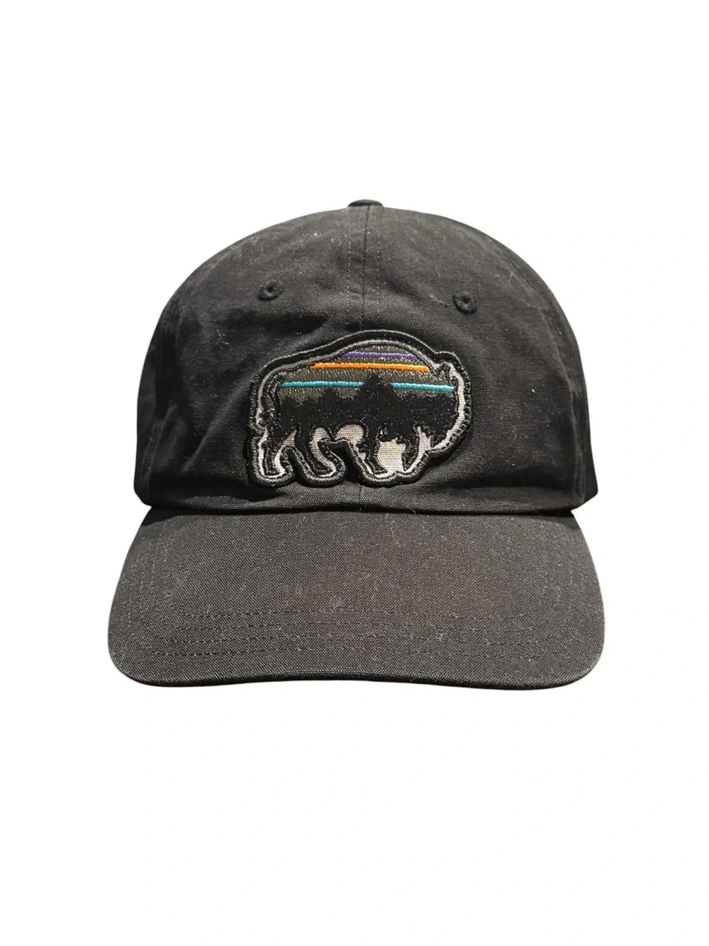Patagonia Fitz Roy Bison Sttrapback Hat Cap Black